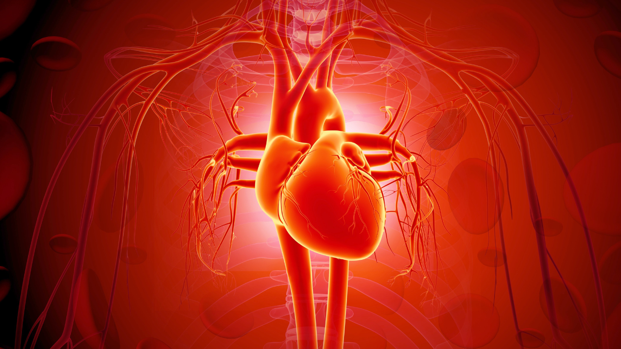 Vascular surgery update 2025: Advancing knowledge and innovation