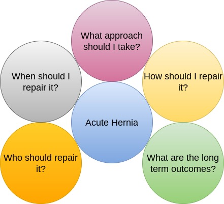 Acute hernia repair