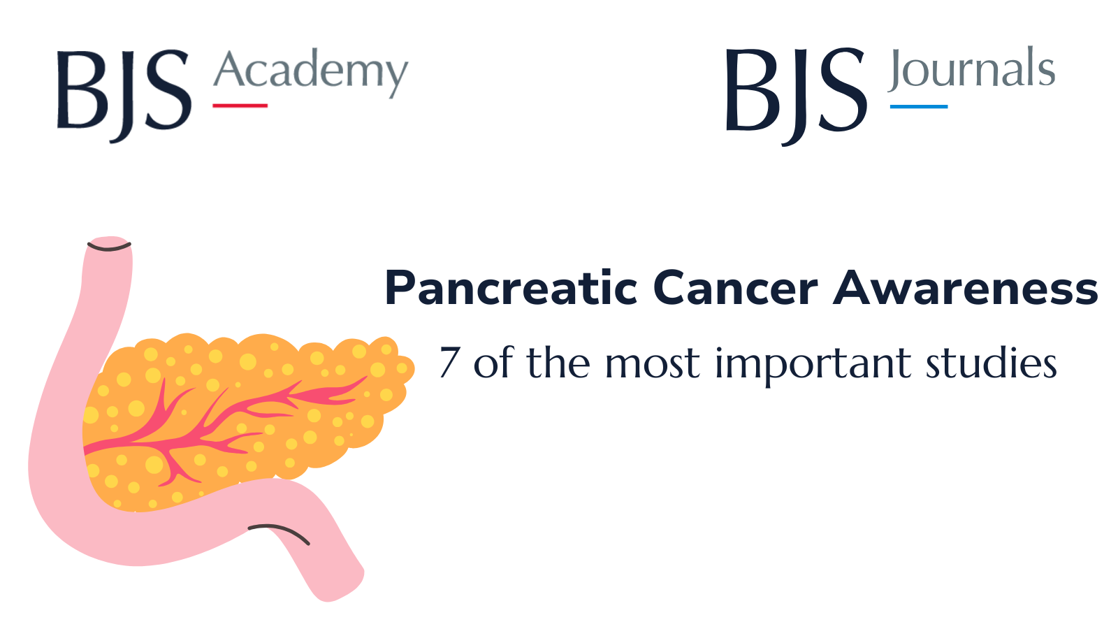 Pancreatic Cancer Awareness 2025