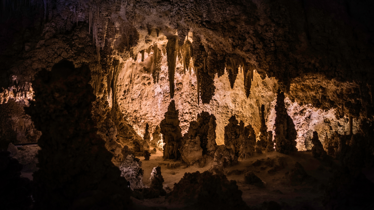 The case for more surgical x-ray meetings