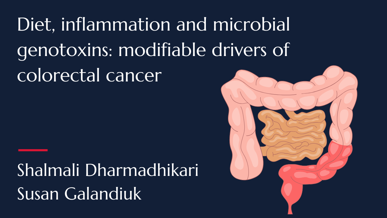 Diet, inflammation and microbial genotoxins: modifiable drivers of colorectal cancer