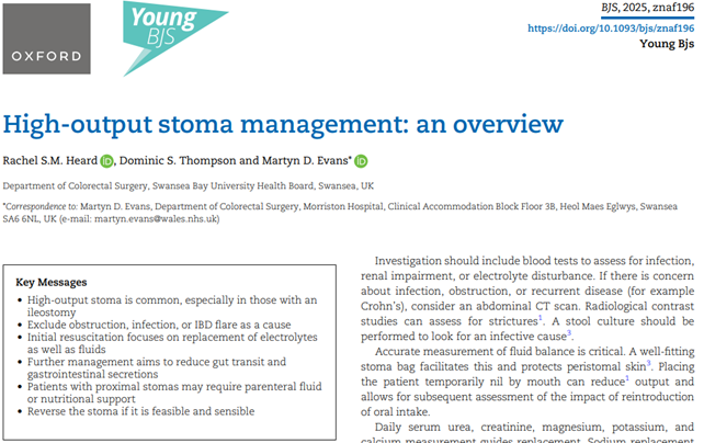High-output stoma management: an overview