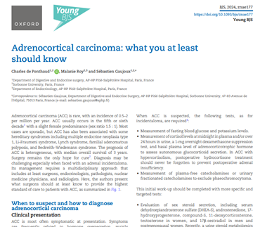Adrenocortical carcinoma: what you at least should know